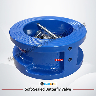 Directe levering van DH77X-10 Wafer Connection Check Valve met gietijzeren structuur
