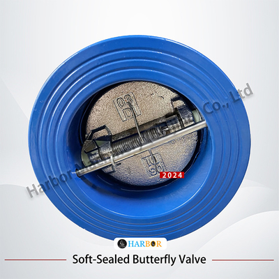 Directe levering van DH77X-10 Wafer Connection Check Valve met gietijzeren structuur