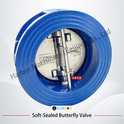 Directe levering van DH77X-10 Wafer Connection Check Valve met gietijzeren structuur