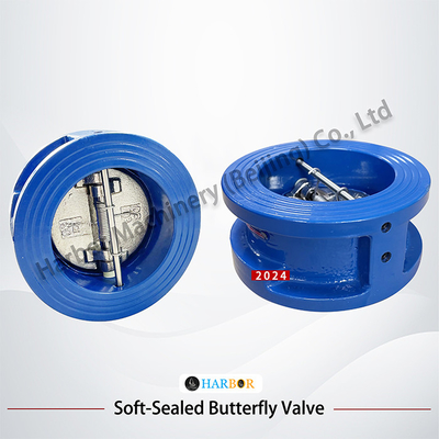 Directe levering van DH77X-10 Wafer Connection Check Valve met gietijzeren structuur