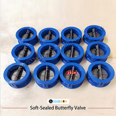 Directe levering van DH77X-10 Wafer Connection Check Valve met gietijzeren structuur