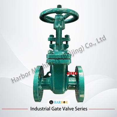 Flanged handmatig gegoten staal PTFE bekleed sluispoortklep Z41F46-16C voor waterbehandeling