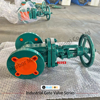 Flanged handmatig gegoten staal PTFE bekleed sluispoortklep Z41F46-16C voor waterbehandeling