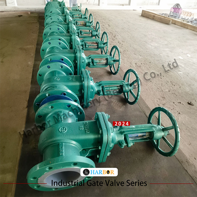 Flanged handmatig gegoten staal PTFE bekleed sluispoortklep Z41F46-16C voor waterbehandeling