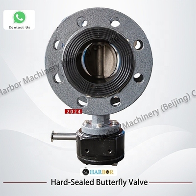 WCB gietijzeren flens handmatig turbine vlinderklep D341X--10/16C voor water media