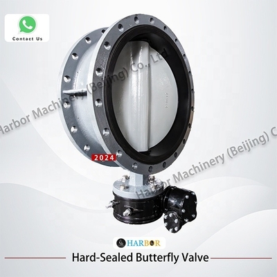 WCB gietijzeren flens handmatig turbine vlinderklep D341X--10/16C voor water media