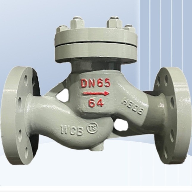 Grijzige gietijzeren flensteraansluiting Lift Check Valve H41H-16/25C voor maritieme toepassingen