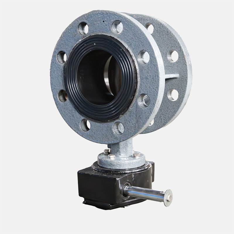 WCB gietijzeren flens handmatig turbine vlinderklep D341X--10/16C voor water media